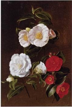 unknow artist Floral, beautiful classical still life of flowers 028 oil painting image